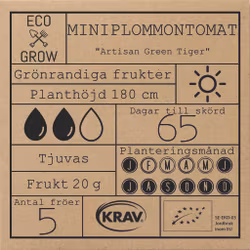 Miniplommontomat - Artisan Green Tiger, EKO