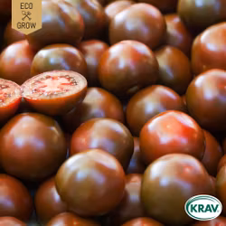 Körsbärstomat - Black Cherry, EKO