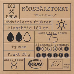 Körsbärstomat - Black Cherry, EKO