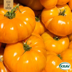 Busktomat - Yellow Donut, EKO