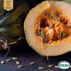 Nakenfröpumpa - Gleisdorfer, EKO