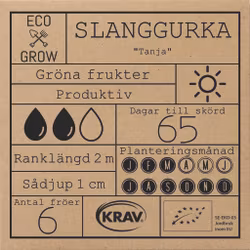 Slanggurka - Tanja, EKO