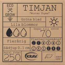 Timjan - Winter Thyme, EKO