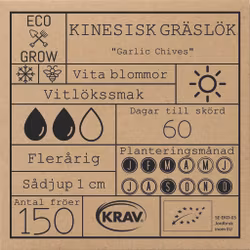 Kinesisk Gräslök - Garlic Chives, EKO