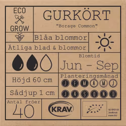Gurkört - Borage Common, EKO