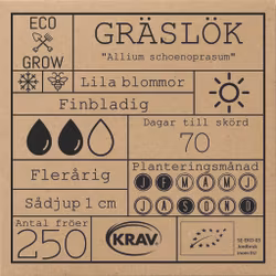 Gräslök - Allium schoenoprasum, EKO