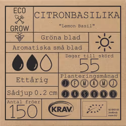 Citronbasilika - Lemon Basil, EKO