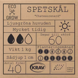 Spetskål - Chateaurenard, EKO