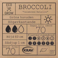 Broccoli - Calabrese Natalino, EKO