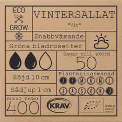 Vintersallat - Vit, EKO