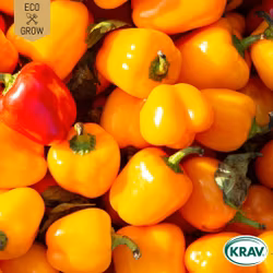 Snackpaprika - Sweet Julie, EKO