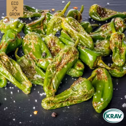 Chilipeppar - Padron, EKO