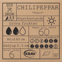 Chilipeppar - Padron, EKO