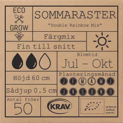 Sommaraster - Double Rainbow Mix, EKO