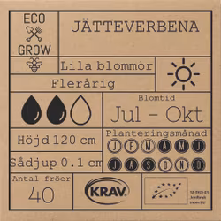 Jätteverbena, EKO