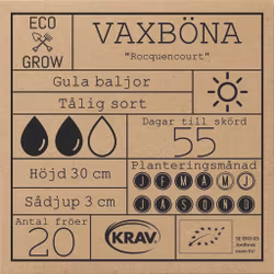 Vaxböna - Rocquencourt, EKO