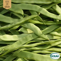 Störskärböna - Helda, EKO