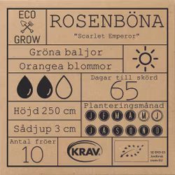 Rosenböna - Scarlet Emperor, EKO
