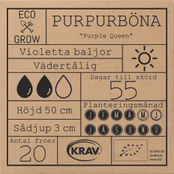 Purpurböna - Purple Queen, EKO