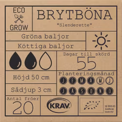 Brytböna - Slenderette, EKO