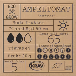 Ampeltomat - Maskotka, EKO