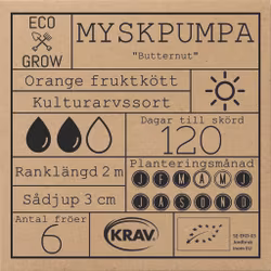 Myskpumpa - Butternut, EKO