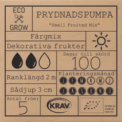 Prydnadspumpa - Small Fruited Mix, EKO