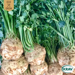 Rotselleri - Roem van Zwijndrecht, EKO