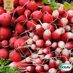 Rädisa Mix - Color Mix, EKO