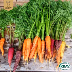 Morot Mix - Rainbow Mix, EKO