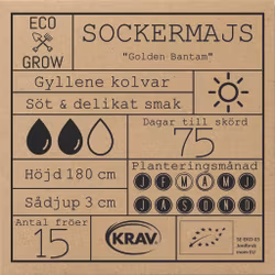 Sockermajs - Golden Bantam, EKO