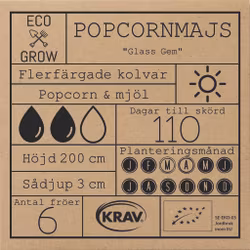 Popcornmajs - Glass Gem, EKO