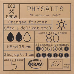 Physalis - Schönbrunner Gold, EKO
