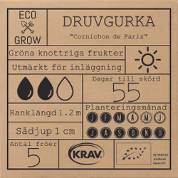 Druvgurka - Cornichon de Paris (Västeråsgurka), EKO