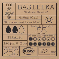 Basilika - Italiano Classico, EKO