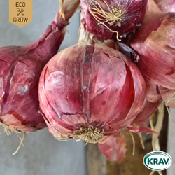 Rödlök - Morada de Amposta, EKO