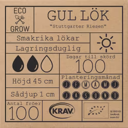 Gul Lök - Stuttgarter Riesen, EKO