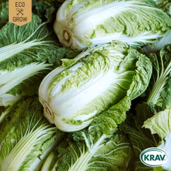 Salladskål - Selection, EKO