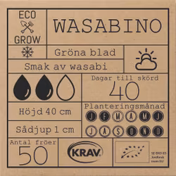 Wasabino, EKO