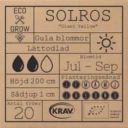 Solros - Giant Yellow, EKO
