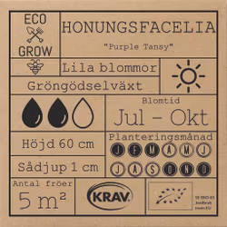Honungsfacelia - Purple Tansy, EKO