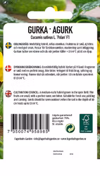 GURKA  - POLAN H