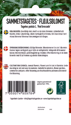 SAMMETSTAGETES - RED BROCATE