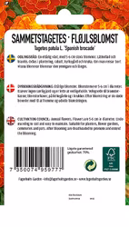 SAMMETSTAGETES - SPANISH BROCADE