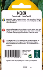 MELON - JAUNE CANARI 2