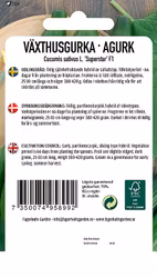 VÄXTHUSGURKA - SUPERSTAR H