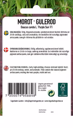 MOROT - PURPLE SUN H