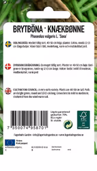 BRYTBÖNA - DWARF SAXA