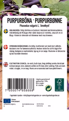 PURPURBÖNA - DWARF AMETHYST