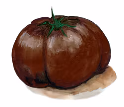 Bifftomat Black Brandywine